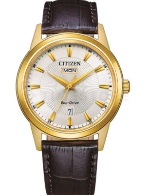 Citizen Eco-Drive AW0102-13AE