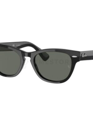 Ray-Ban Laramie Polarized RB2201 901/58 54