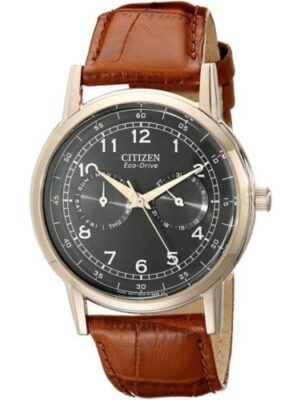 Citizen Eco-Drive AO9003-08E