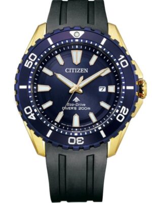 Citizen Eco-Drive BN0196-01L