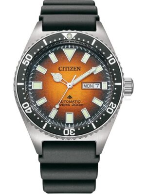 Citizen Promaster NY0120-01ZE