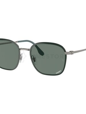 Ray-Ban Polarized RB3720 9264O9 55