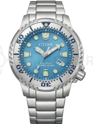 Citizen Eco-Drive BN0165-55L