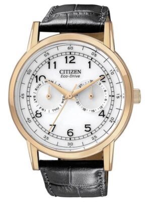 Citizen Eco-Drive AO9003-16A