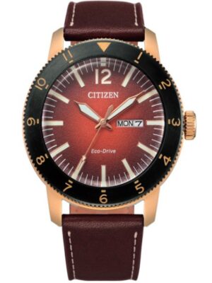 Citizen Eco-Drive AW0079-13X